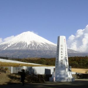 Meet your Posher, Flora